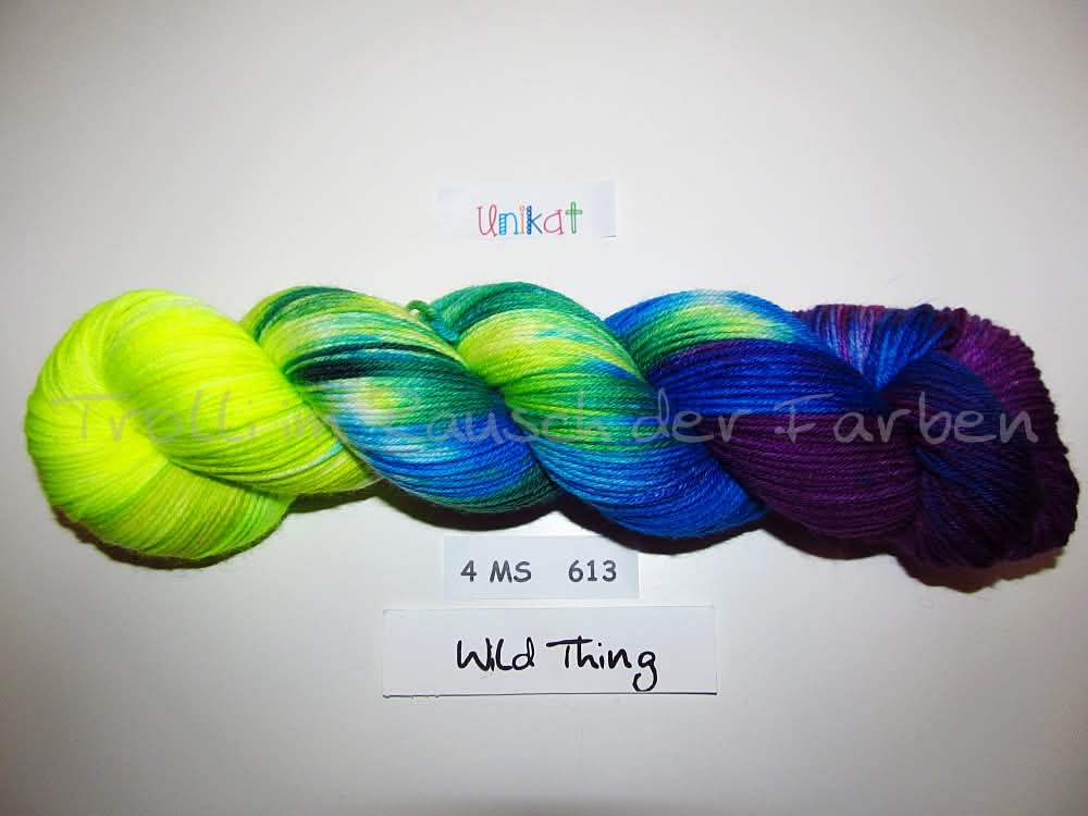 Fine Merino Socks (4FMS), handgefärbte Sockenwolle 4-fach 100g (4MS613) Unikat